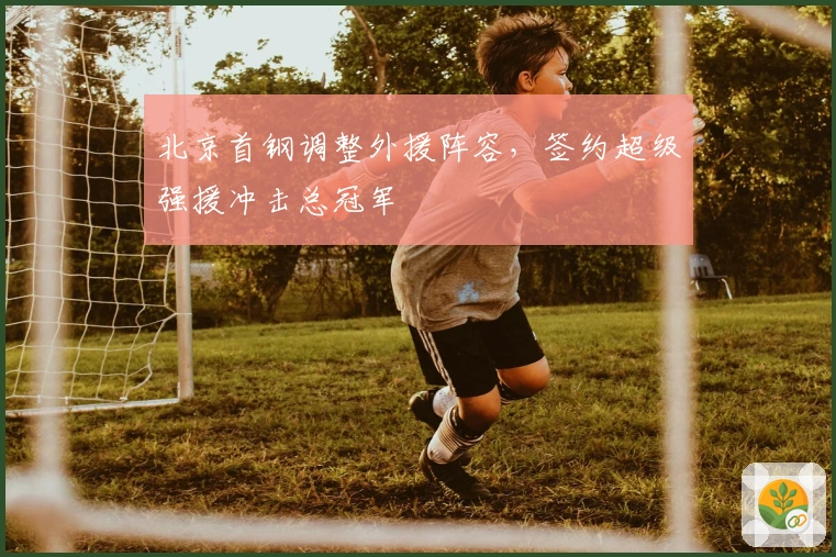 北京首钢调整外援阵容，签约超级强援冲击总冠军